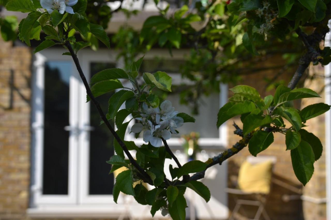 Epicsa - Family & Corporate Stay Mews Apartments With Free Parking Cambridge  Exterior photo